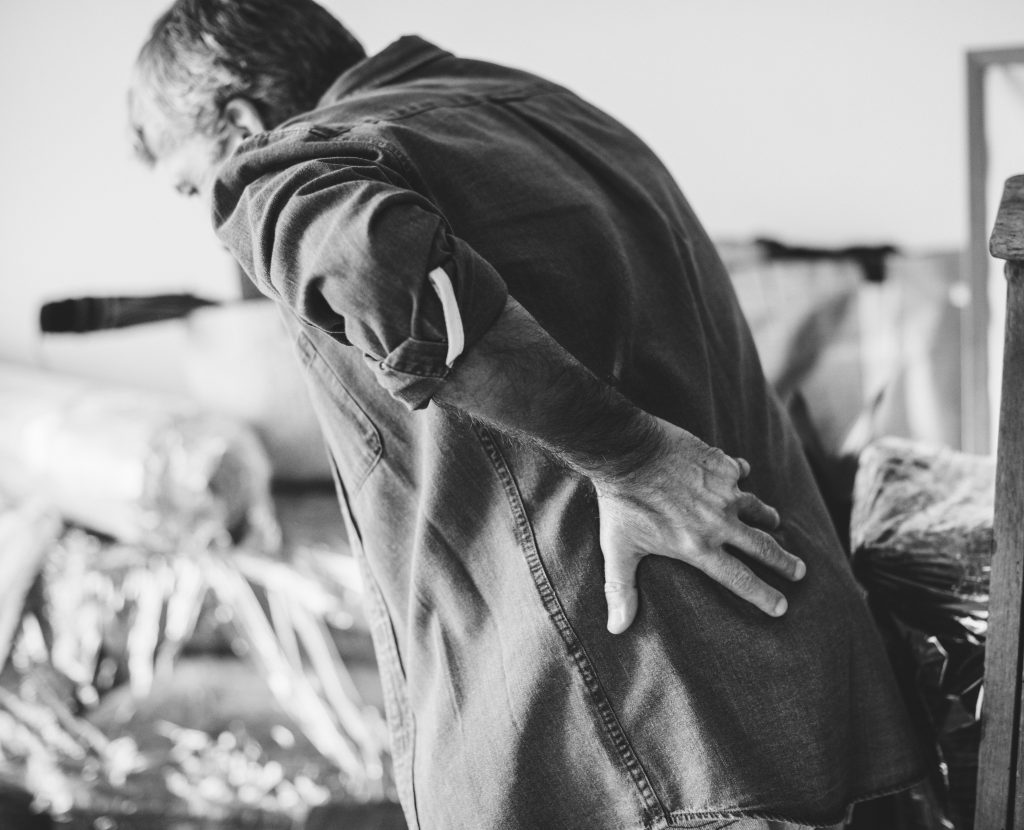 Gut Health and Osteoporosis
