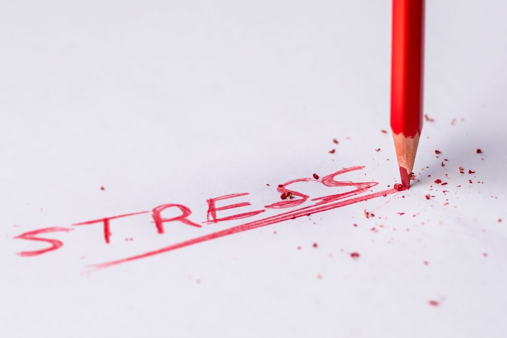 How Stress Ages Us