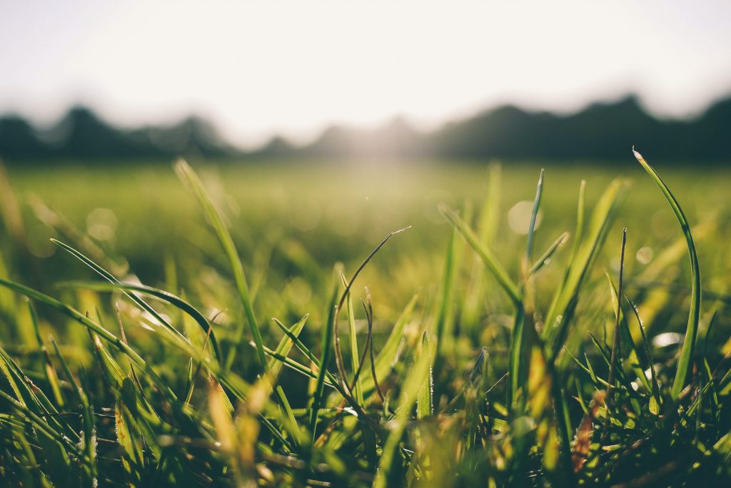 What You Should Know About Vitamin D