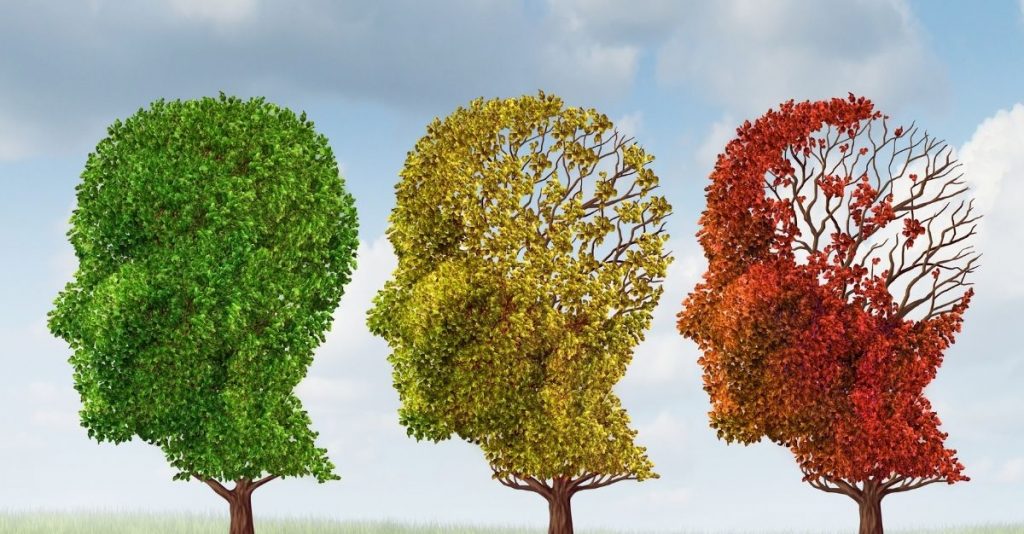 The Secrets Of Aging And Longevity