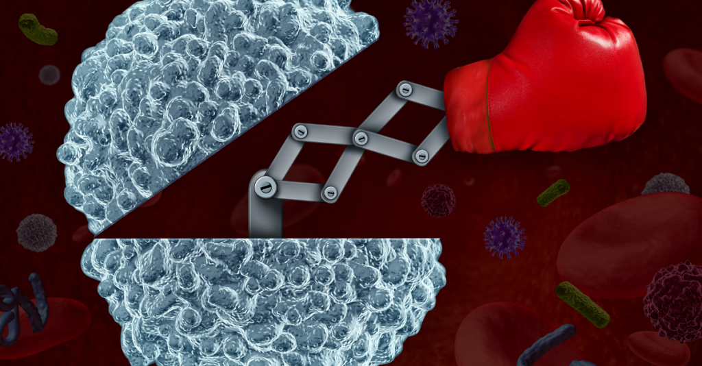 Support Your Immune System: The Season is Here!